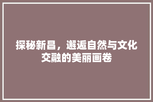 探秘新昌，邂逅自然与文化交融的美丽画卷