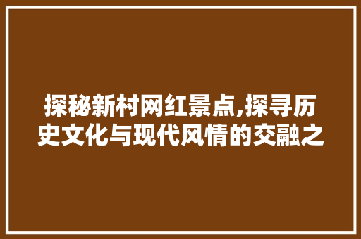 探秘新村网红景点,探寻历史文化与现代风情的交融之地  第1张