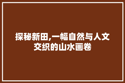 探秘新田,一幅自然与人文交织的山水画卷  第1张