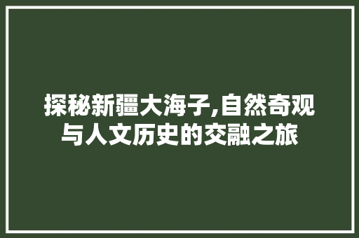 探秘新疆大海子,自然奇观与人文历史的交融之旅