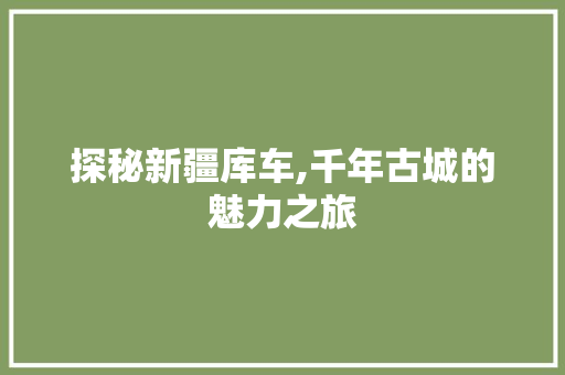 探秘新疆库车,千年古城的魅力之旅