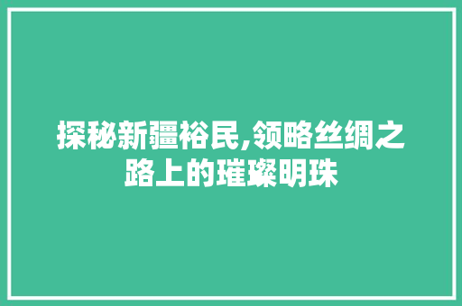 探秘新疆裕民,领略丝绸之路上的璀璨明珠