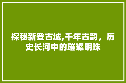 探秘新登古城,千年古韵，历史长河中的璀璨明珠