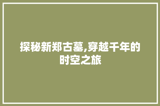 探秘新郑古墓,穿越千年的时空之旅