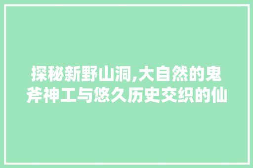 探秘新野山洞,大自然的鬼斧神工与悠久历史交织的仙境