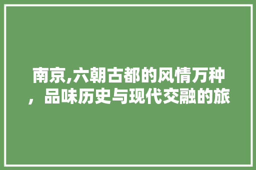 南京,六朝古都的风情万种，品味历史与现代交融的旅游特产