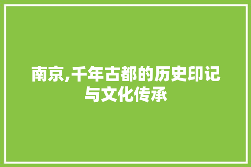 南京,千年古都的历史印记与文化传承  第1张