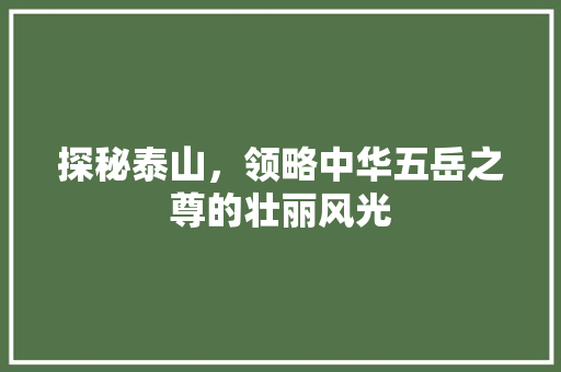 探秘泰山，领略中华五岳之尊的壮丽风光