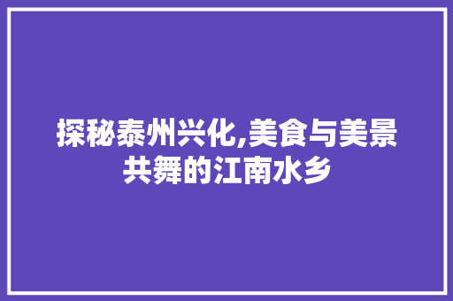 探秘泰州兴化,美食与美景共舞的江南水乡