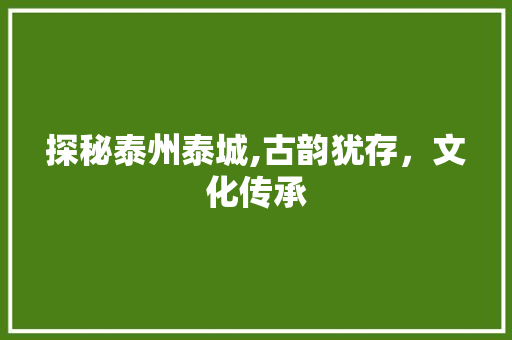 探秘泰州泰城,古韵犹存，文化传承