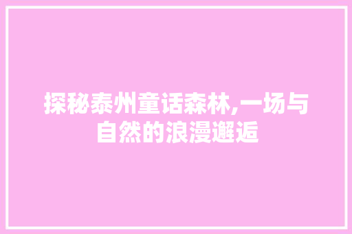 探秘泰州童话森林,一场与自然的浪漫邂逅