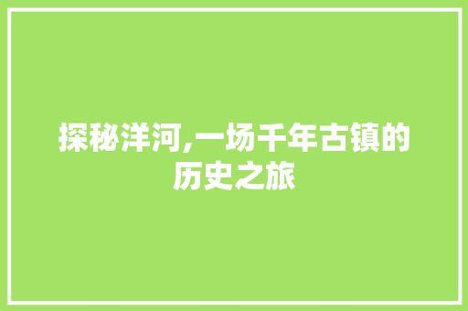 探秘洋河,一场千年古镇的历史之旅