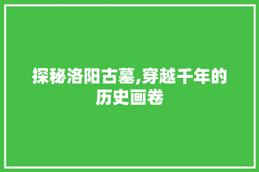 探秘洛阳古墓,穿越千年的历史画卷  第1张