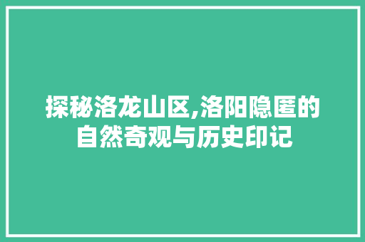 探秘洛龙山区,洛阳隐匿的自然奇观与历史印记