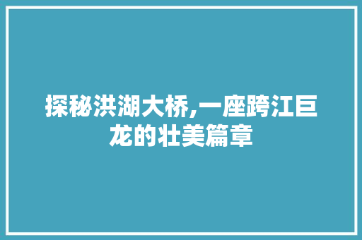 探秘洪湖大桥,一座跨江巨龙的壮美篇章