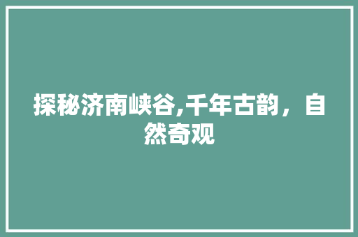 探秘济南峡谷,千年古韵，自然奇观