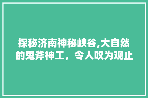 探秘济南神秘峡谷,大自然的鬼斧神工，令人叹为观止