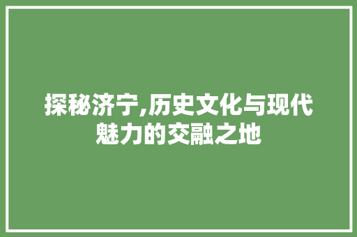 探秘济宁,历史文化与现代魅力的交融之地