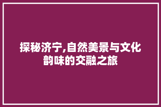 探秘济宁,自然美景与文化韵味的交融之旅