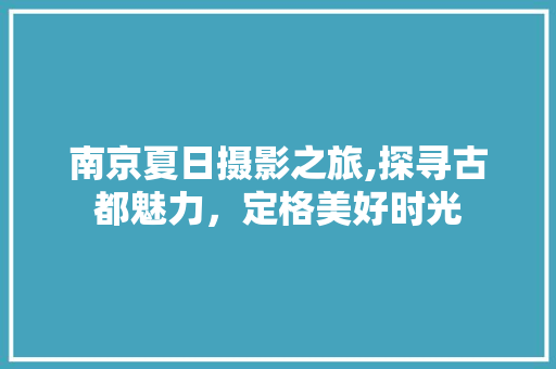 南京夏日摄影之旅,探寻古都魅力，定格美好时光