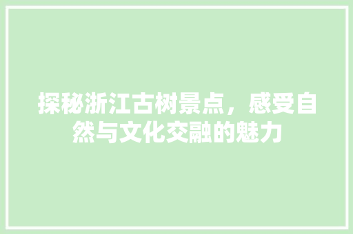 探秘浙江古树景点，感受自然与文化交融的魅力