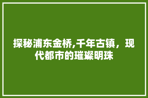 探秘浦东金桥,千年古镇，现代都市的璀璨明珠