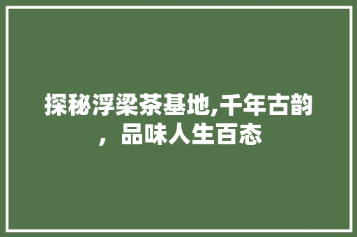 探秘浮梁茶基地,千年古韵，品味人生百态