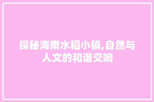 探秘海南水稻小镇,自然与人文的和谐交响  第1张