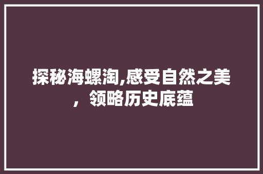 探秘海螺淘,感受自然之美，领略历史底蕴