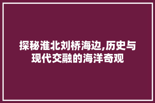 探秘淮北刘桥海边,历史与现代交融的海洋奇观