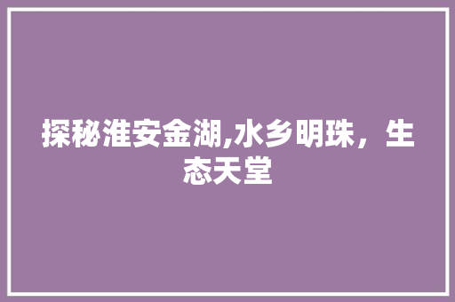 探秘淮安金湖,水乡明珠，生态天堂  第1张