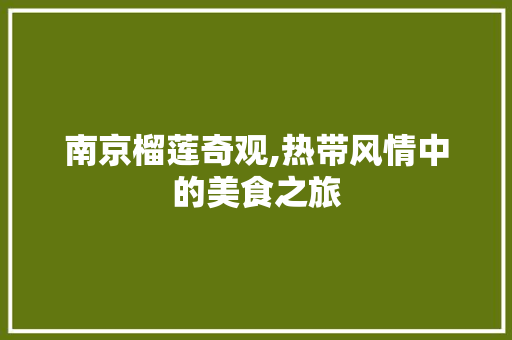 南京榴莲奇观,热带风情中的美食之旅  第1张