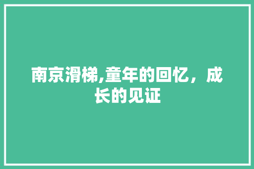 南京滑梯,童年的回忆，成长的见证