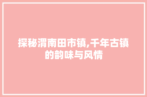 探秘渭南田市镇,千年古镇的韵味与风情