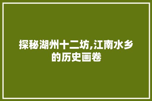 探秘湖州十二坊,江南水乡的历史画卷  第1张