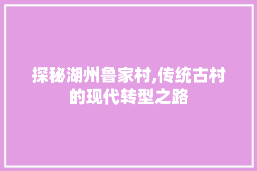 探秘湖州鲁家村,传统古村的现代转型之路