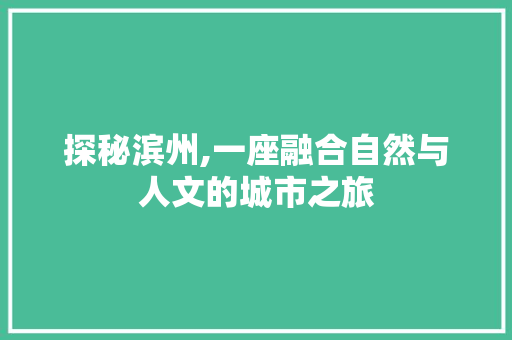 探秘滨州,一座融合自然与人文的城市之旅  第1张