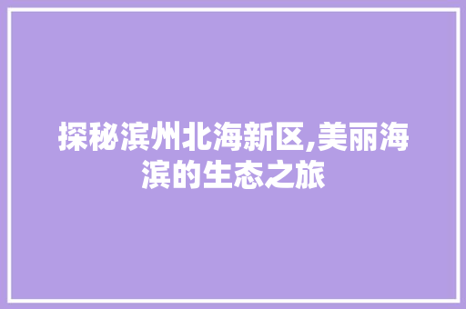 探秘滨州北海新区,美丽海滨的生态之旅  第1张