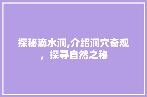 探秘滴水洞,介绍洞穴奇观，探寻自然之秘  第1张