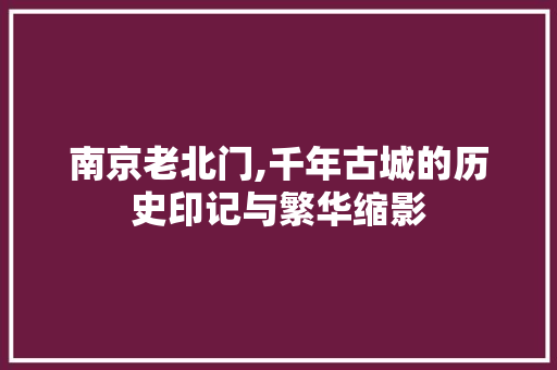 南京老北门,千年古城的历史印记与繁华缩影