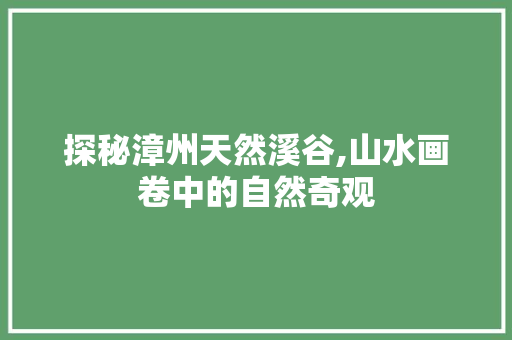 探秘漳州天然溪谷,山水画卷中的自然奇观  第1张