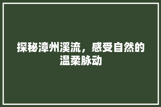 探秘漳州溪流，感受自然的温柔脉动