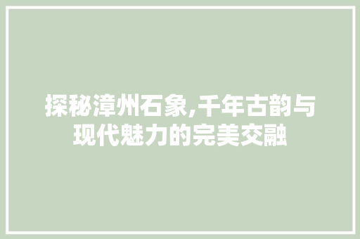 探秘漳州石象,千年古韵与现代魅力的完美交融