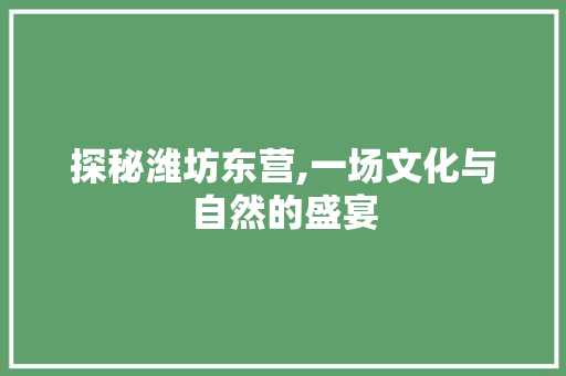 探秘潍坊东营,一场文化与自然的盛宴