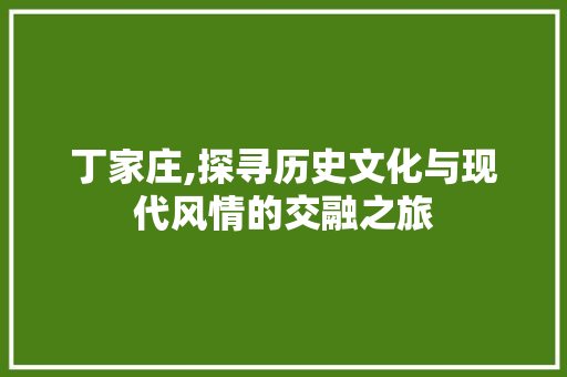 丁家庄,探寻历史文化与现代风情的交融之旅  第1张