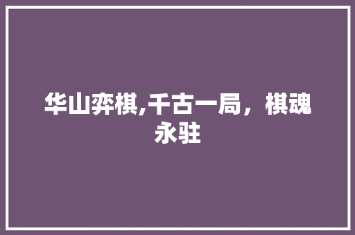 华山弈棋,千古一局，棋魂永驻  第1张