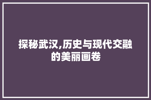 探秘武汉,历史与现代交融的美丽画卷  第1张