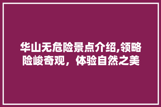 华山无危险景点介绍,领略险峻奇观，体验自然之美