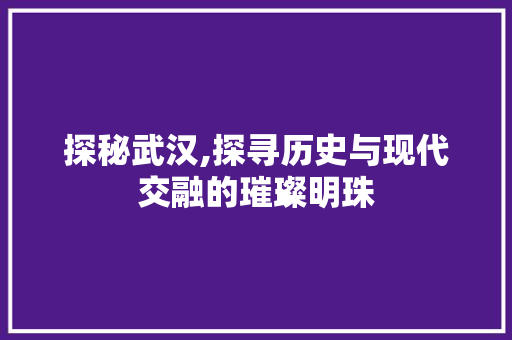 探秘武汉,探寻历史与现代交融的璀璨明珠