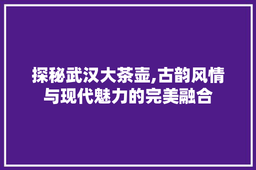 探秘武汉大茶壶,古韵风情与现代魅力的完美融合  第1张